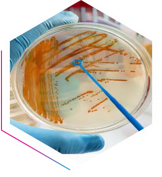 Microbiologia